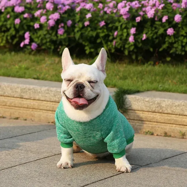 Classic Warm Dog Sweater