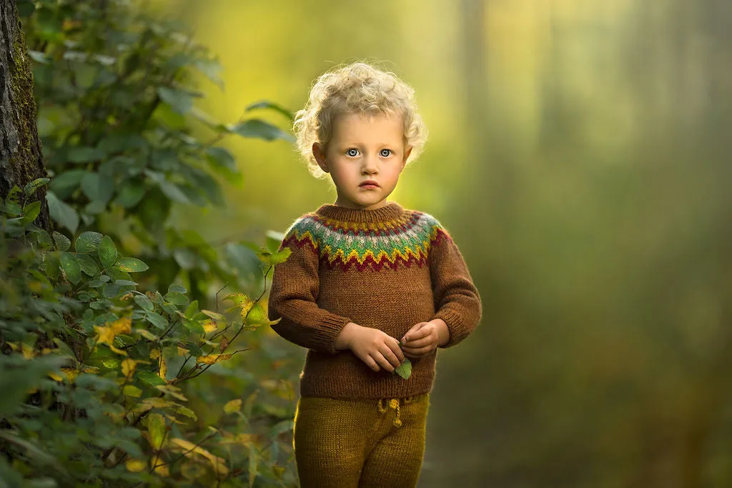 Fair Isle Sweater