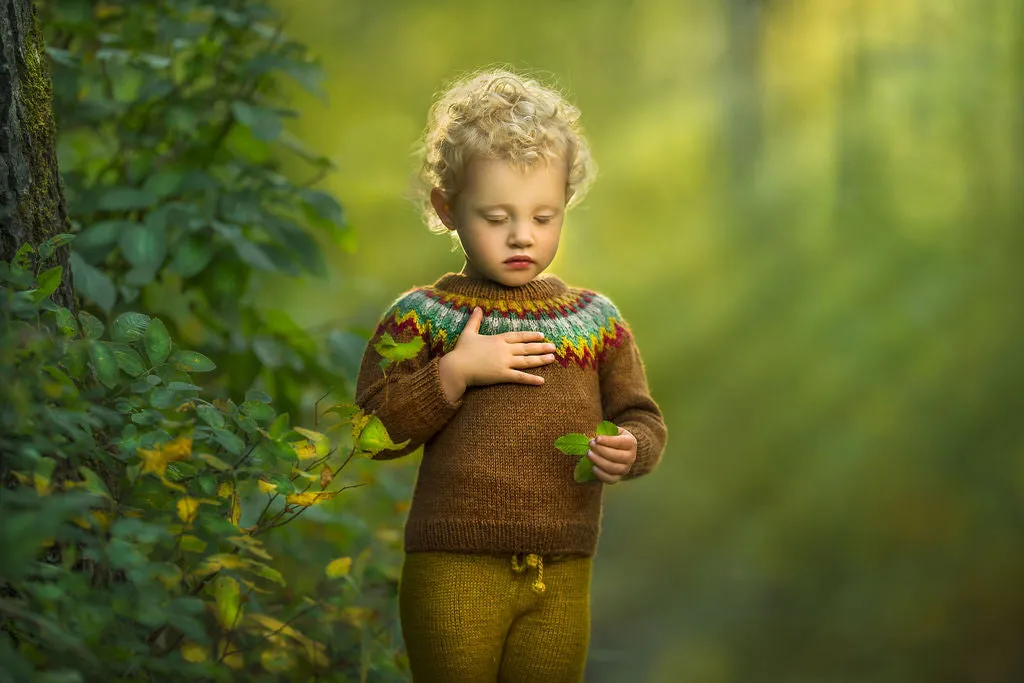 Fair Isle Sweater