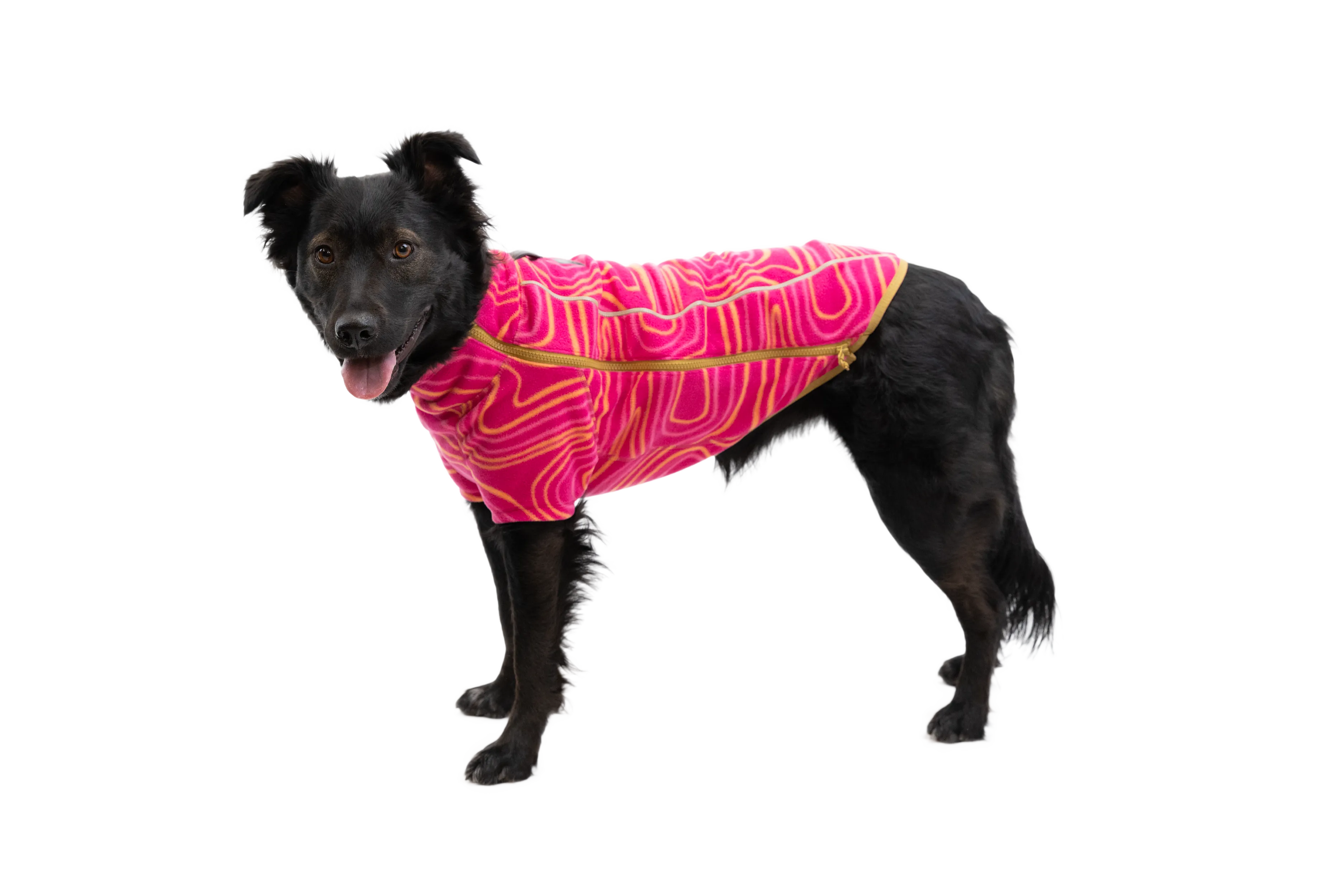 RP - Climate Changer™ Dog Fleece