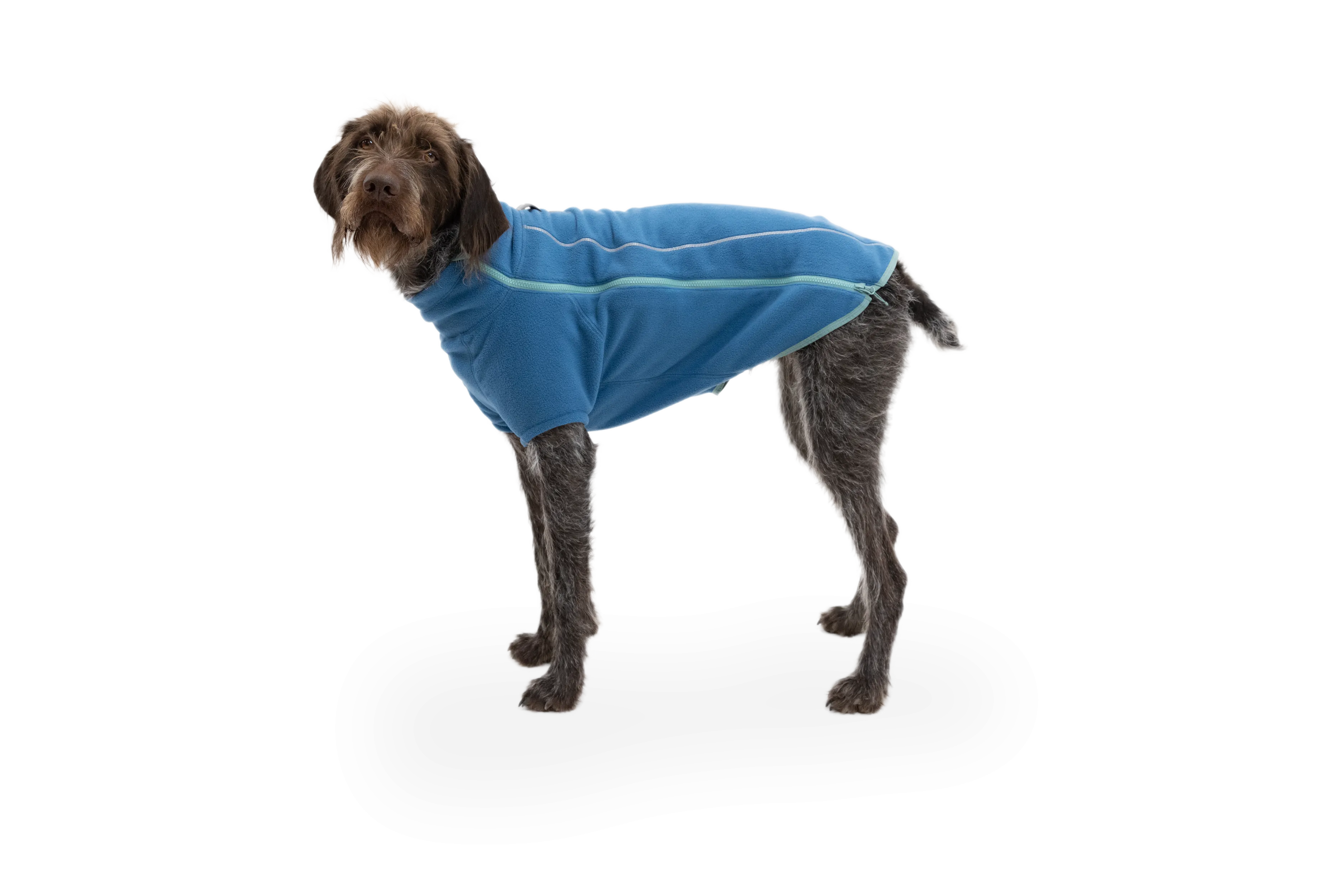 RP - Climate Changer™ Dog Fleece