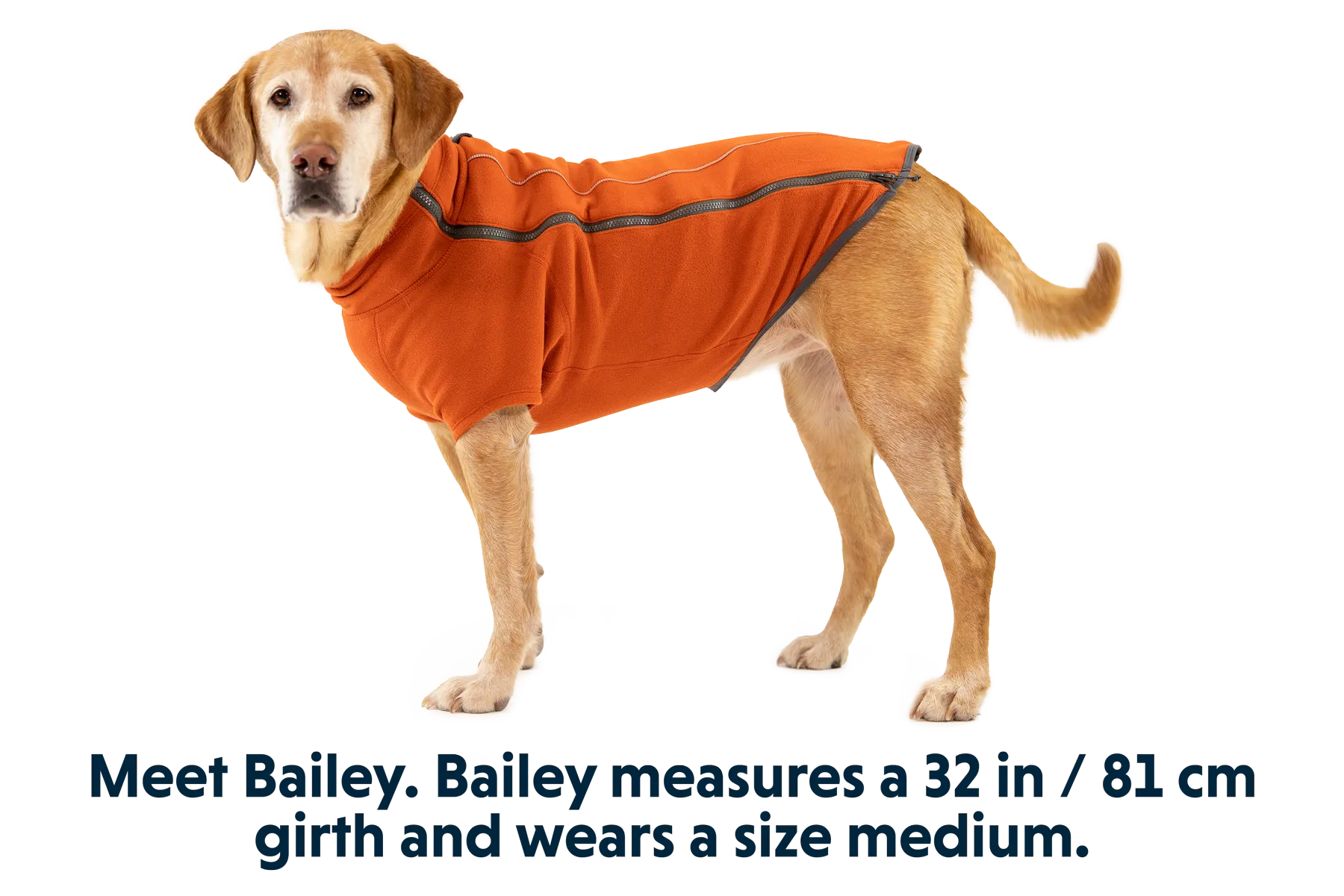 RP - Climate Changer™ Dog Fleece