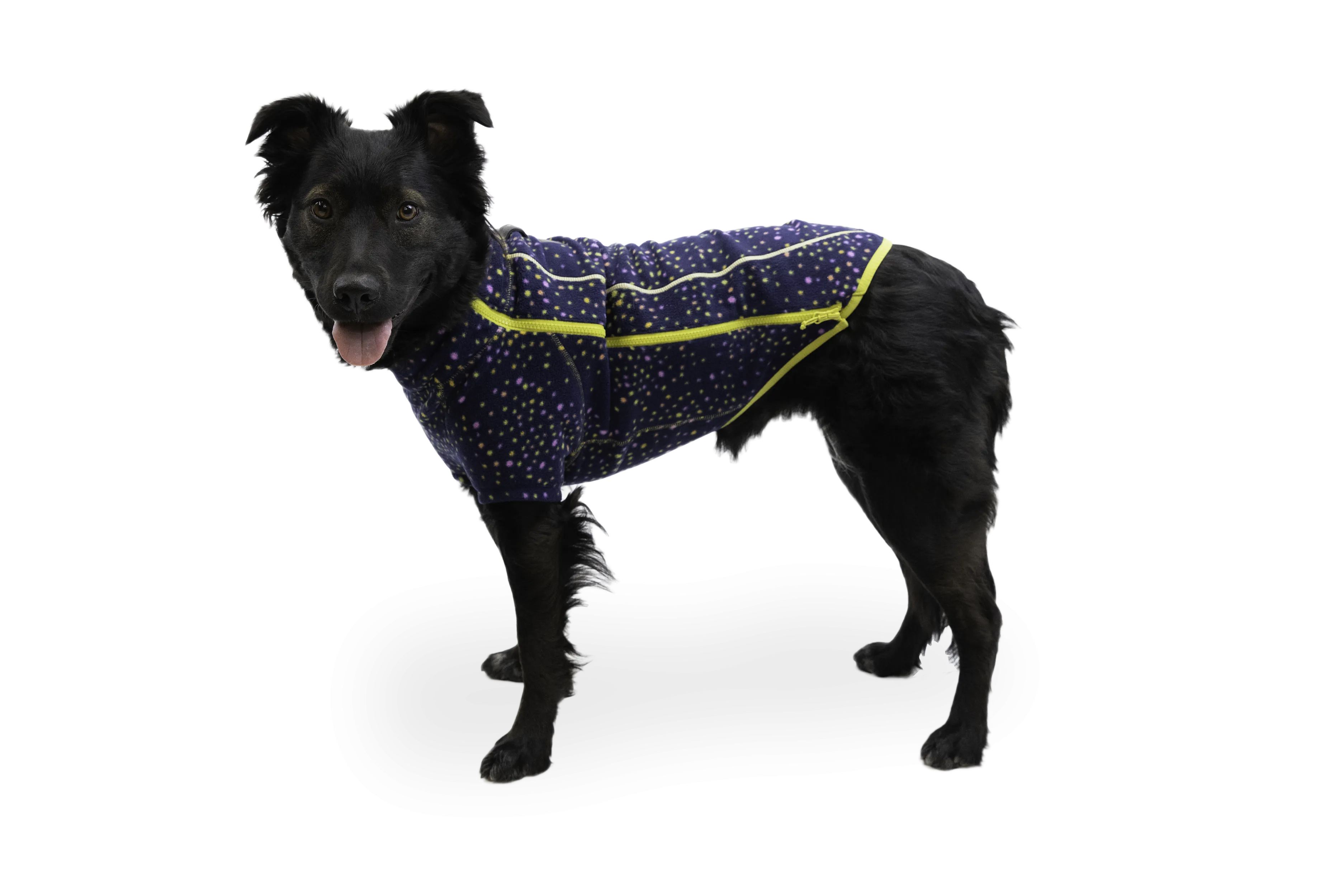 RP - Climate Changer™ Dog Fleece